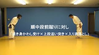 組手型　順中段前蹴りに対し「引き身かわし受け×上段追い突き×入り身落とし