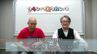 花を買うだけで運気上昇！2019年11月の花買い開運法！【うらない君とうれない君】