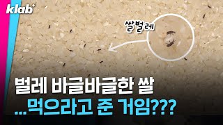 구호 물품 보낸다더니 쓰레기가 왔습니다? 명절 앞두고 바사삭 식어버린 인류애｜크랩