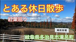 【散歩】とある休日散歩 in岐阜県多治見市滝呂町 紅葉巡り散歩