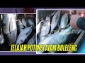 [FULL] JELAJAH POTENSI ALAM BULELENG | JEJAK ANAK NEGERI (22/12/22)