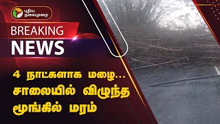 ஈரோடு தாளவாடியில் 4 நாட்களாக தொடரும் கனமழை..,போக்குவரத்து பாதிப்பு! | Erode | PTT