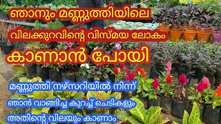 ന്റ മ്മോ..Mannuthy nursery ഒരു സംഭവം ആണ് ട്ടോ..ഞാനും അവിടുന്ന് വില കുറവിൽ കുറിച്ച് ചെടികൾ വാങ്ങിച്ചു