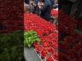 viral chocolate covered strawberries from borough market london 🍫🍓