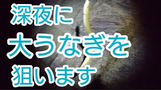 夜釣りで 大うなぎを 狙う。竿とペットボトル仕掛けで うなぎ釣りにチャレンジしました♪