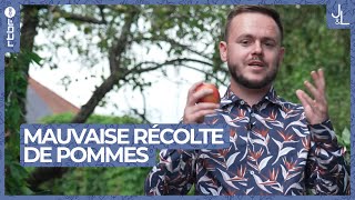 Mauvaise récolte de pommes : les principales raisons | Jardins et Loisirs