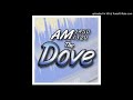 the dove am 1450 and 1320 wsdv wddv sarasota fl 1 12 12