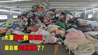 大量回收的旧衣服，最后都去到哪里了？不说你肯定想象不到!