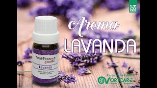 Aromaterapia: Beneficios de la lavanda