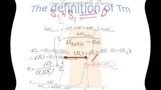 Nearest Neighbor Method