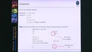 9. Mixed integer linear programming (MILP) and mixed integer nonlinear programming (MINLP) problems