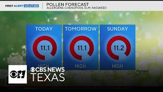 What's going around? High pollen in North Texas leading to symptoms for those with allergies