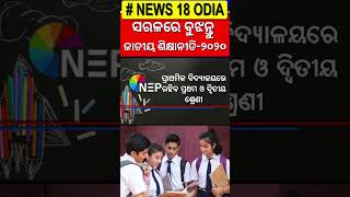 ନୂଆ ଶିକ୍ଷାନୀତିରେ କେମିତି ପାଇବେ ଫାଇଦା | National Education Policy 2020 Impemented In Odisha | N18S