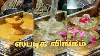 சிதம்பரேஸ்வரர் ஆலயம் ,சிவராத்திரி சிறப்பு ஸ்படிக லிங்க அபிஷேகம்