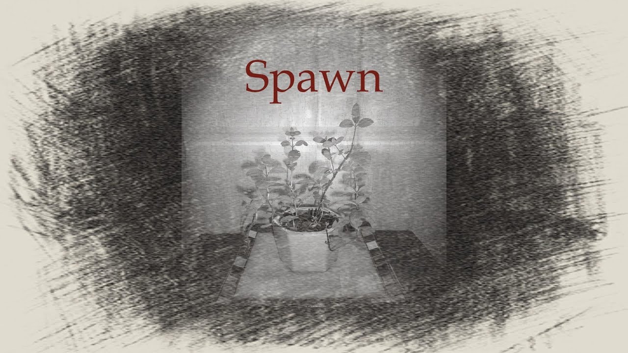 Spawn Official Music Video Youtube Music