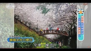 世界旅遊達人推薦 四月韓國釜山賞櫻之旅  搶便宜 出國吃喝玩爽爽？！上班這黨事 20160309 (1/4)