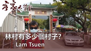 林村 - 許願樹的來源及林村的歷史『香港客家村』 Lam Tsuen - The history of the wishing tree and Lam Tsuen