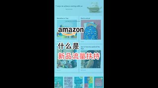 什么是新品流量扶持？亚马逊广告选品运营