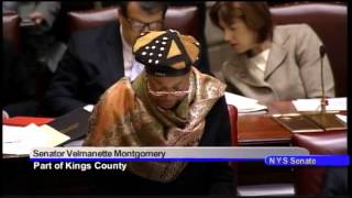 Senator Velmanette Montgomery's session remarks on Resolution commending Dorothy Stoneman