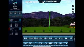 Foresight FSX Pro