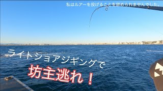 サビキでのんびりイワシ釣りのはずが… 2024年12月 【#12】