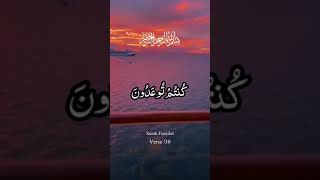 Best Quran Recitation || Best Tilawat e Quran e Pak beautiful voice Masha Allah