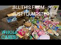 DUMPSTER DIVIN// THIS DUMPSTER WAS FILLED W/ BRAND NEW TOYS, CASES OF DECOR & SO MUCH MORE😱