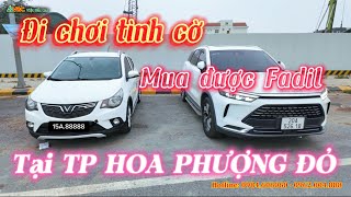 Mua được Fadil tình cờ quá các Bác ạ, chộp ngay em nó trên đường đi chơi