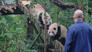 2023.10.08 花花先惡龍咆哮，然後和弟弟一起滑滑梯！