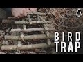 Perangkap Burung Arapuca - Bushcraft