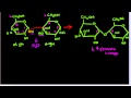 1,4glycosidic