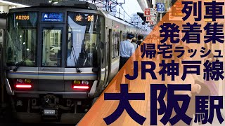 【朝の車両故障の影響が帰宅ラッシュを直撃！代走や激遅延快速が次々発着！】JR神戸線 大阪駅 帰宅・夕ラッシュ 列車発着集 【Japan Rail Commuting Rush】