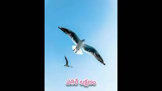 chirunavvulatho Brathakali Part 4 |Telugu motivation song |Mee sreyobilashi movie |Dr.V.Rambabu|