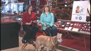 National Pet Fire Safety Day to Help Protect Pets from Fires