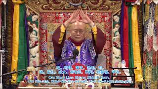 【治病系列】莲生活佛给大家治病加持5分 Five minutes of blessing and healing by Living Buddha Lian Sheng｜大幻化网金刚 2025年1月