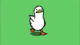 PATO CAMINANDO SHIDO 10 HORAS(PATO COOL) (PATO CAMINA CHISTOSO)(PATO COOL STAYIN) (PATO CUA MAINCRA)