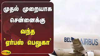 முதல் முறையாக சென்னைக்கு வந்த உலகின் மிகப்பெரிய சரக்கு விமானம் | | Airbus | Chennai Airport