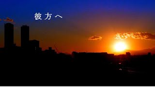 【彼方へ】相模川は上流の城山ダムが放流中で、冬の時期にしては水量が多く良い流れでした。都内と横浜のあちこちの景色です。