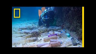 Here's How Much Plastic Trash Is Littering the Earth | National Geographic