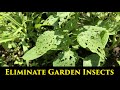 Eliminate Insects in the Garden with Bug B Gon