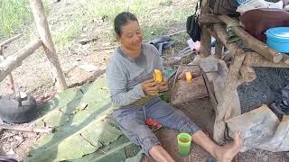 Keladang mbantuin mbah ibut matun / cabut rumput- kehidupan di desa