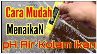 Belajar kolam bioflok ikan Nila, cara mudah menaikan pH air kolam pada saat musim hujan