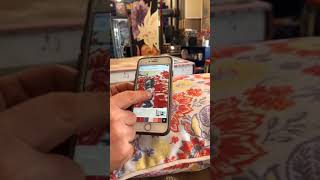 Sherwin Williams ColorSnap App