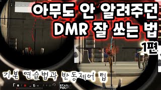 아무도 잘 안 알려주던 DMR 잘 쏘는 법 (1편) | PUBG STARLORD