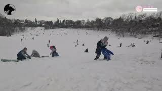 Tobogganing in Cedarvale Park | Toronto 🇨🇦 4K  2025 | @Rubin.D