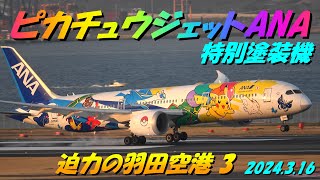 ＃ピカチュウジェットANA特別塗装機 ＃羽田空港＃HanedaAirport＃2024年3月16日