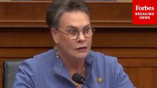 'They Have Absolutely Cooked The Books': Harriet Hagement Slams The Southern Poverty Law Center