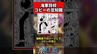 【ワンピース】海軍将校コビーの豆知識 #shorts #onepiece