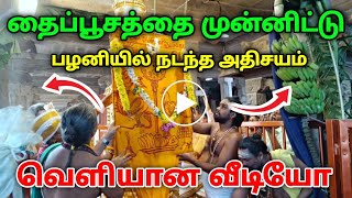 தைப்பூசத்தை முன்னிட்டு பழனியில் நடந்த அதிசயம் வெளியான வீடியோ !