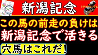 新潟記念2021年の穴馬を探してみました！前走の負けが今回活きてくる馬発見